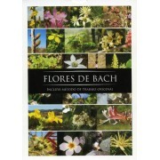 Cartas de las Flores de Bach  